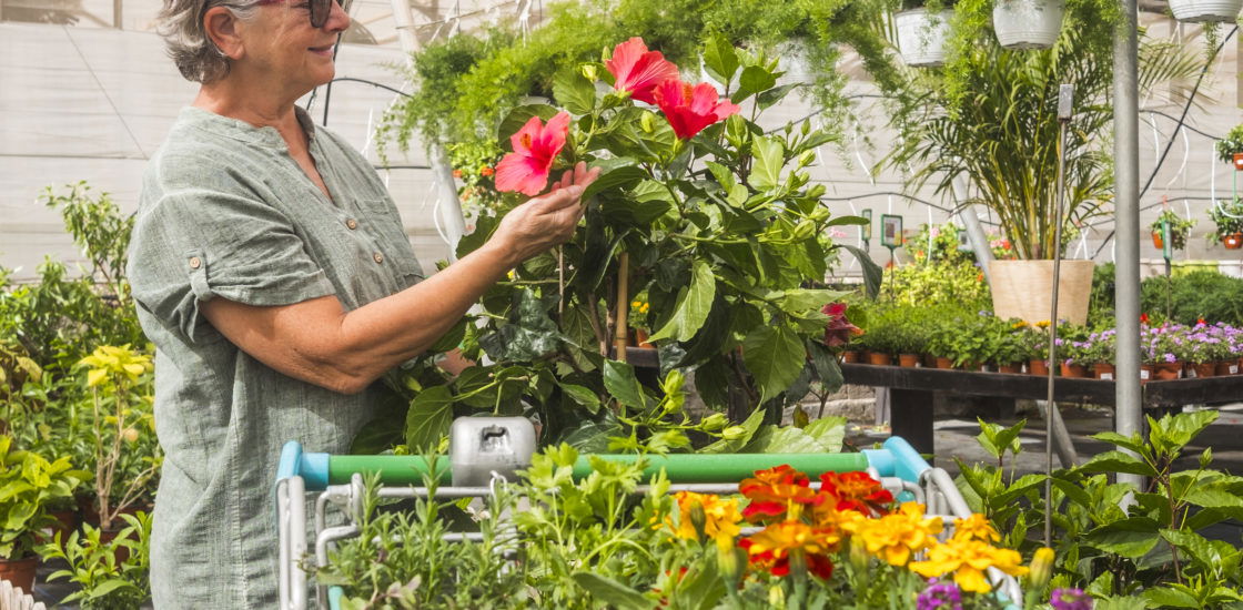 A 72-year-old cashier at a Home Depot in San Ramon, California, was fired after an aggressive customer pressured her into completing a fraudulent transaction.