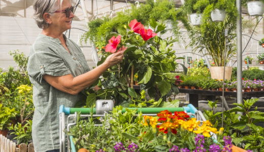 A 72-year-old cashier at a Home Depot in San Ramon, California, was fired after an aggressive customer pressured her into completing a fraudulent transaction.